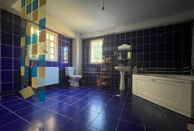 Proprietate D+P+1+M - Baile Sacelu *poten?ial de business Proprietate D+P+1+M - Baile Sacelu *poten?ial de business - 9