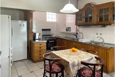 Vila solida si versatila in Cotroceni - gradina, multiple optiuni de utilizare - 6