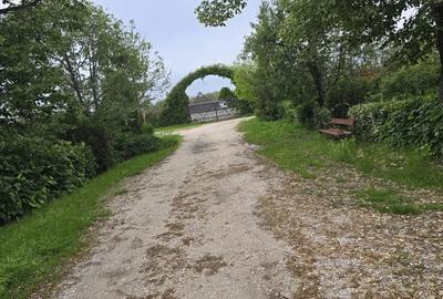 Teren de 38464 mp, în Beharca - 6