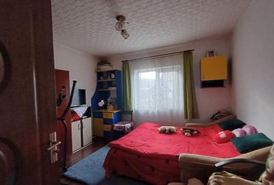Casa 3 Camere, beci, magazie, mansarda - 500 mp Teren - 12