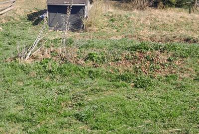 Casă cu 3 camere cu Teren 3892 Mp în Dorna Candrenilor