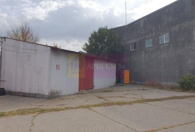 Spațiu industrial, de 60 mp, în Viilor - 2