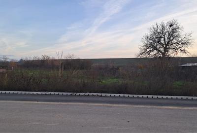 Teren de 2550 mp, în Cornetu - 2