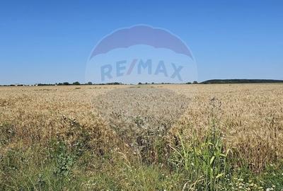 Teren agricol extravilan de 7742 mp, în Corbeanca - 1