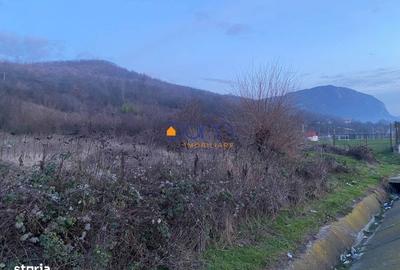 Spațiu comercial, în Mehadia - 3