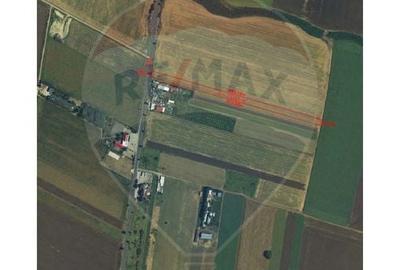 Teren agricol extravilan de 13300 mp, în Podgoria