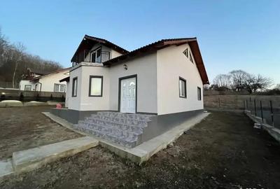 Casă cu 3 camere cu Teren 545 Mp în Mihăești - 8