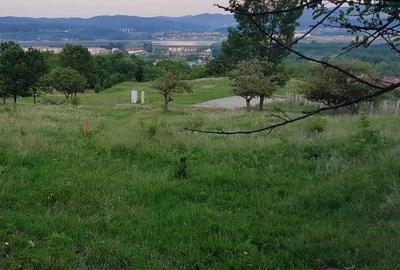 Spațiu comercial, în Troian - 2