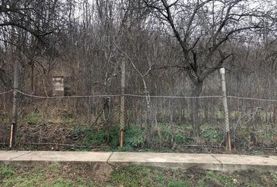 Teren de 3478 mp, în Viișoara - 5