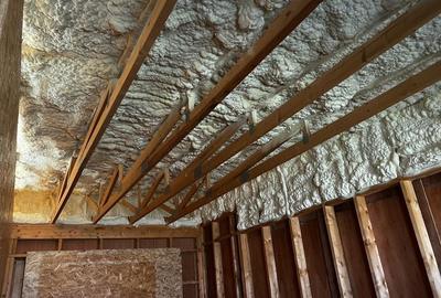 Casă cu 4 camere cu Teren 650 Mp în Orțișoara - 1