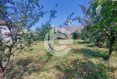 Teren intravilan Sura Mare - 578 Mp - cu PUZ aprobat si toat