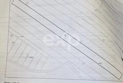 Teren agricol extravilan de 5000 mp, în Dumbrava - 2