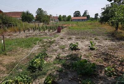 Casă cu 3 camere cu Teren 1200 Mp în Otvești - 7
