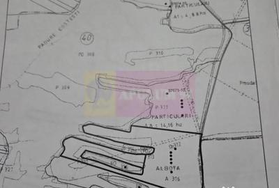 Teren în Albota - 4