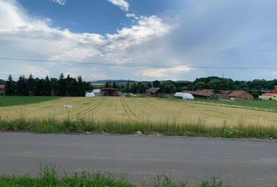 Teren Construcții intravilan de 10000 mp, în Arcuș