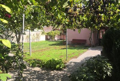 Potențial imobiliar! 12377 mp + 2 case in curte, front  30 m +2900 mp intravilan - 11