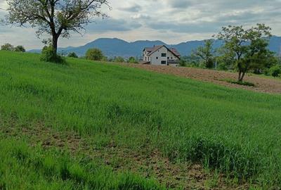 Teren de 4000 mp, în Satu Nou de Sus - 2