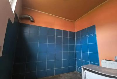 Casă cu 4 camere cu Teren 141 Mp în Domenii - 4