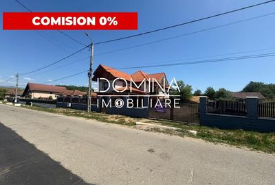 Casă individuală cu 6 camere cu Teren 4692 Mp în Rasova - 1