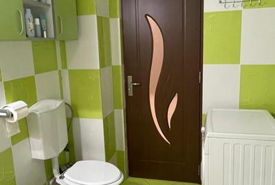 Apartament cu 2 camere decomandat în Obcini - 10