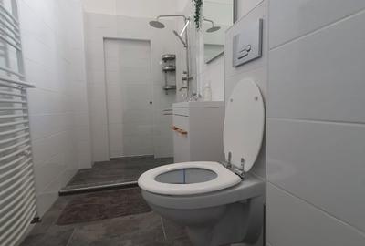 Garsonieră, mobilată în Romană - 20