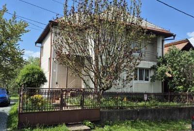 Baia Sprie, casa cu etaj ,10 ari teren - 6