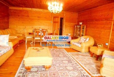 Vila splendida, o reala oaza de liniste intre lacul si padurea SNAGOV - 33