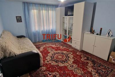 Casă cu 3 camere cu Teren 1338 Mp în Meteș