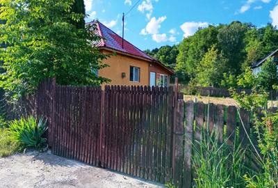 Casă cu 3 camere cu Teren 3000 Mp în Breaza - 17