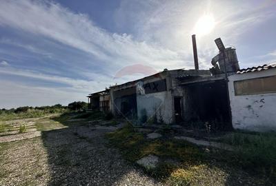 Spa?iu industrial Hale si Fabrica de lemn - 2