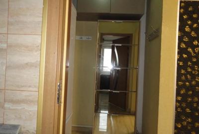 Apartament 1 camera la parter intr-un bloc de apartamente in Vlaicu, renovat, mobilat - 7