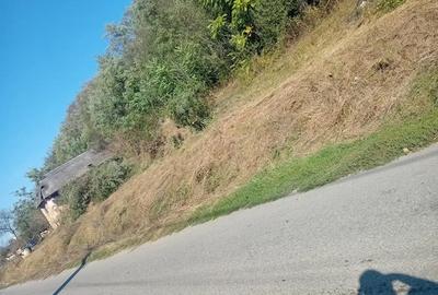 Casă cu 2 camere cu Teren 7000 Mp în Salatiu - 3