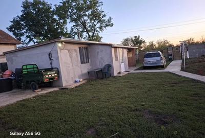 Casă cu 2 camere în Alioș - 1