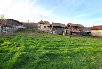 Casă în Pleșoiu (Nicolae Bălcescu) - 9