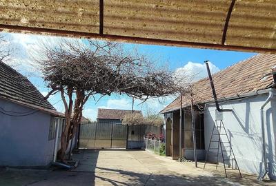 Casă cu 6 camere cu Teren 4450 Mp în Gherteniș - 4