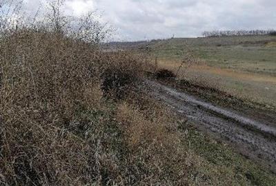 Teren extravilan Tiganasi, cota parte 1/5, ID: R2822453 - 3