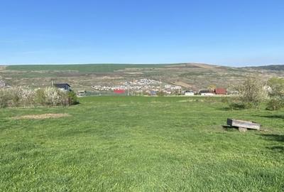 Teren cu casa demolabila Valea Chintaului 2000 mp extravilan - 3