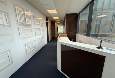 Birou, de 317 mp, în Floreasca - 13