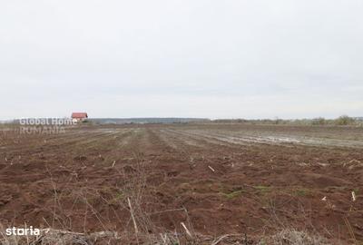 Teren de 4000 mp, în Central - 2