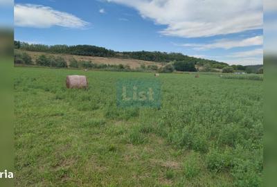 Spațiu comercial, în Fundătura - 3