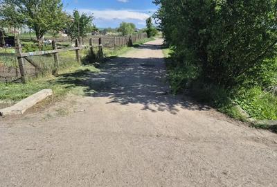 Casă cu 1 camere cu Teren 500 Mp în Iernut - 3