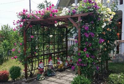 Proprietar, parter la casa cu etaj, Mogosesti - Iasi, 10 km Proprietar, parter la casa cu etaj, Mogosesti - Iasi, 10 km - 3