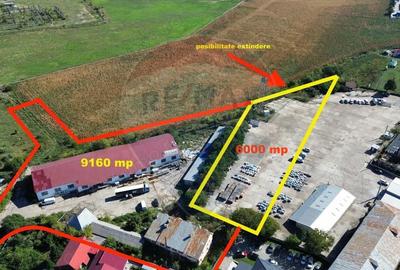 Teren 9160 mp cu 2500mp constructii - 2