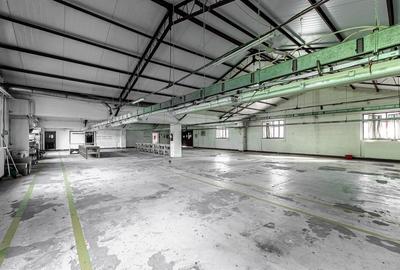 4.049 mp Hale industriale in Arad, aproape de A1 - 10