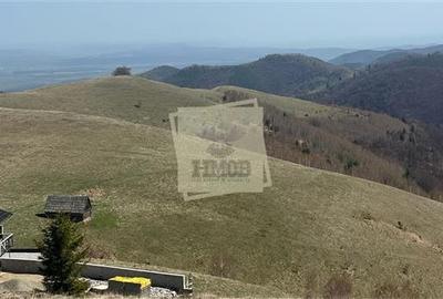 Terenuri cu PUZ si apa suprafete intre 570 mp 2025 mp in Paltinis- Sibiu - 3