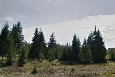 Teren Construcții de 1300 mp, în Beliș - 2