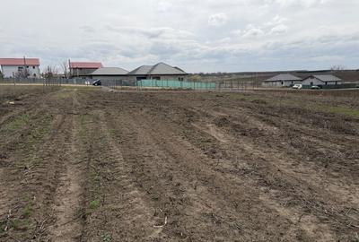 Teren de 570 mp, în Costi - 2
