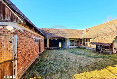 Casă cu 4 camere cu Teren 10486 Mp în Ohaba Lungă - 13