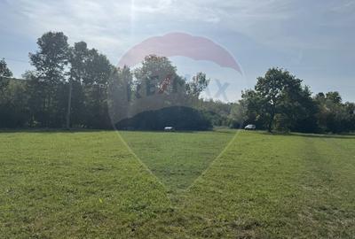 Teren Construcții intravilan de 10000 mp, în Călățele - 6