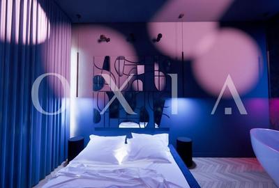 AX1077 Balcescu, Zona Istorica, Proiect Design - 5